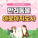 반려동물 아로마 테라피 자격증 | 애견 반려동물아로마테라피 자격증 취득 과정 후기
