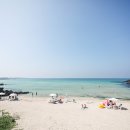 코스모스민박 이미지