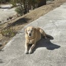 무주읍167 이미지