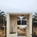 대포동-2 | 제주 대포동 중문 중식 양식맛집 함쉐프키친짬뽕 서귀포 본점