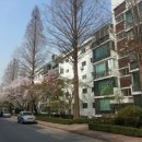 09.주공1단지 이미지