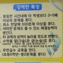 김해 진영수학학원 새론코딩영어수학학원 방문기, All 일대일맞춤수업