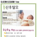 한스톱헤어 2 Daum카페