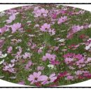 다산 행정사 사무소 이미지