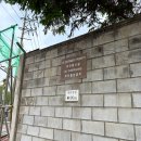 용산기지 옛 미군장교숙소(현 용산공원) | 용산 가족공원미군 기지 산책 서울 이색 데이트 코스