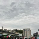 묵호수산 | 동해 묵호 묵호항 활어판매센터 수산시장 고둥 고동 백동호 포장 후기, 가격 공유