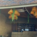 탄스비치 이미지