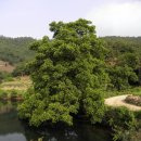 대곡민박 이미지