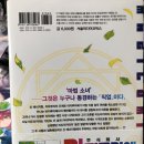 루미에셀 이미지