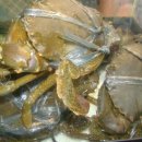 옥포식당 이미지