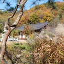 메이플 하우스 이미지