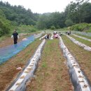 우복농장 이미지