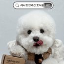 라니펫