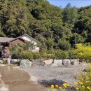홍천군 남면 용수리 산아래 전원주택지 253평 이미지