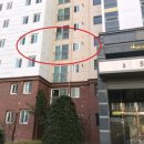 부곡중앙초교 이미지