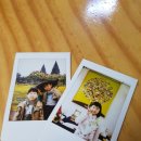 상무시민공원 이미지