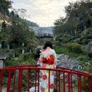 논개골 낭만 벚꽃축제 | 니지모리스튜디오 아키마츠리 가을 축제 경기도에서 아이랑 가기 딱 좋은 곳