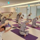 테라피 요가 이미지