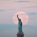 하늘플라워 이미지