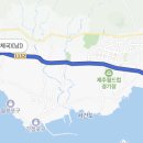 중문환승정류장(중문우체국)[남] 네이버블로그