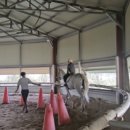 그랑프리 승마파크 이미지