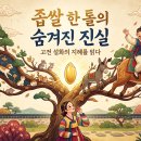 정승문구 | 좁쌀 한 톨로 장가간 총각 : 숨겨진 진실