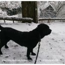 시골풍경 이미지