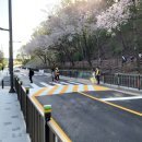 조원고등학교 이미지