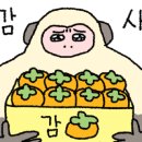 뱃돼지에 기름칠 이미지