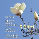 사랑비디오 이미지