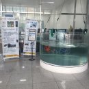 부산외국어대학교 이미지