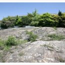 당산나무민박 이미지