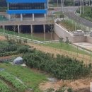 안막배수펌프장 이미지