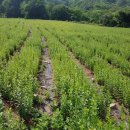 풍경농장 이미지