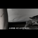 클라우드아틀라스 이미지