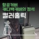 골프홀릭 | 해외 골프 여행 필수템, 컬러홀릭 골프백 항공커버, 캐디백커버추천:내돈내산 직접 써본 솔직 후기
