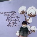 화순아이샘터어린이집 이미지