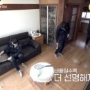 시골포차카페 네이버블로그