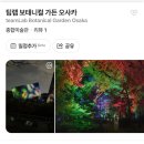 2020-546 | 팀랩 오사카 / 팀랩 보태니컬 가든 오사카 전시회 가는 법/ 입장방법/ 솔직후기
