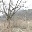 유성구세동보건진료소 이미지