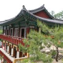 동화사 이미지