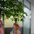 세종베스트치과의원 이미지