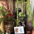 삼포막국수 이미지