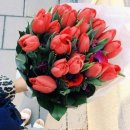 플라워 테라피 이미지