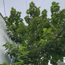 태창주유소 이미지