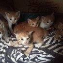 하임농장 이미지