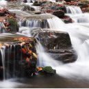 생활안마원 이미지