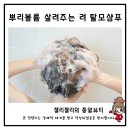 여성 탈모샴푸 추천 뿌리볼륨 살려주는 려 루트젠 세 달 장기사용 후기