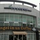 강남-031 이미지