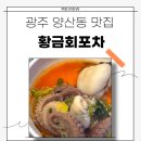 양산동작은도서관 | 광주 북구 횟집 쭈꾸미샤브샤브 황금회포차 양산동 맛집 추천